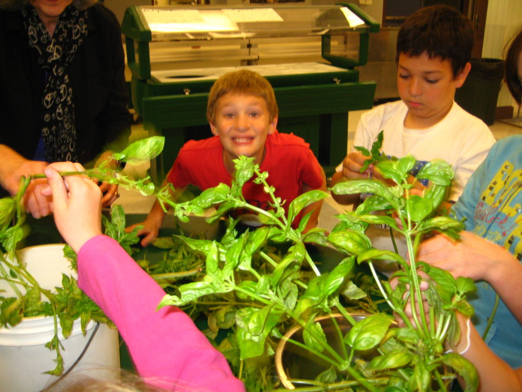 Food processors were buzzing in the elementary school cafeteria as students whipped up pesto from freshly harvested basil.